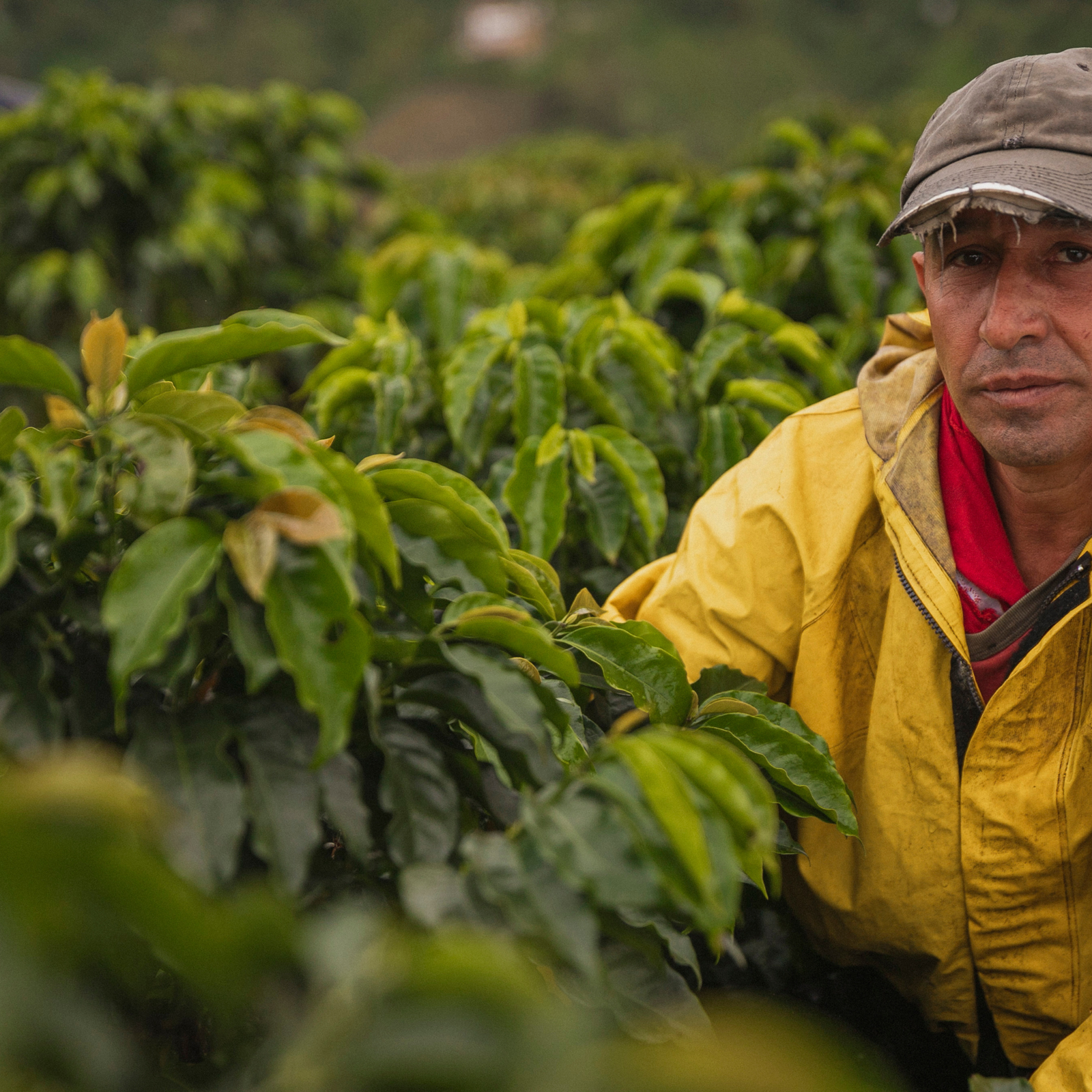 Suporte Personalizado img 1