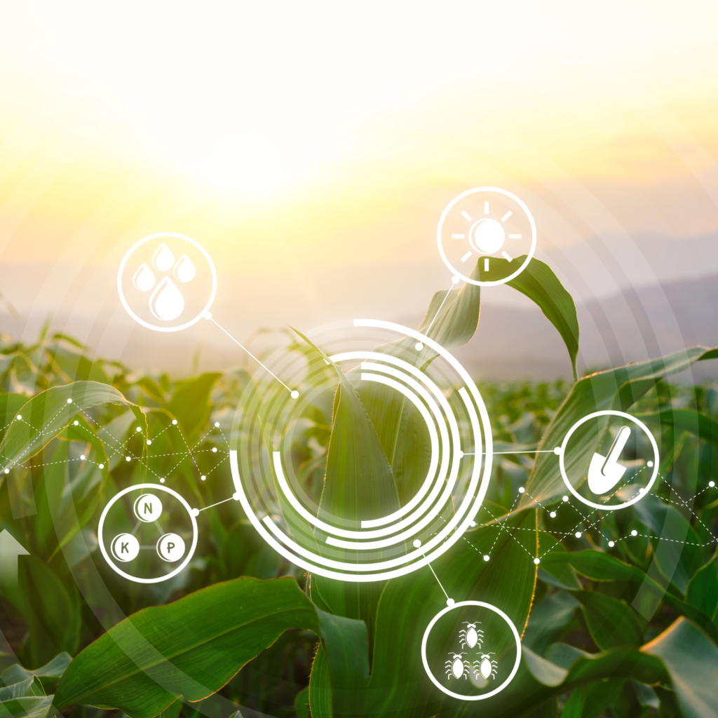 Suporte Personalizado img 2