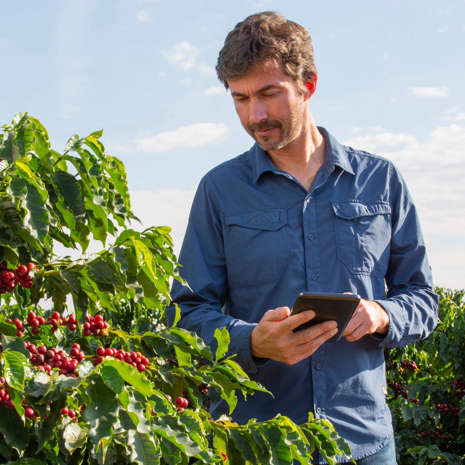 Funcionalidade Off-line e Sincronização de Dados