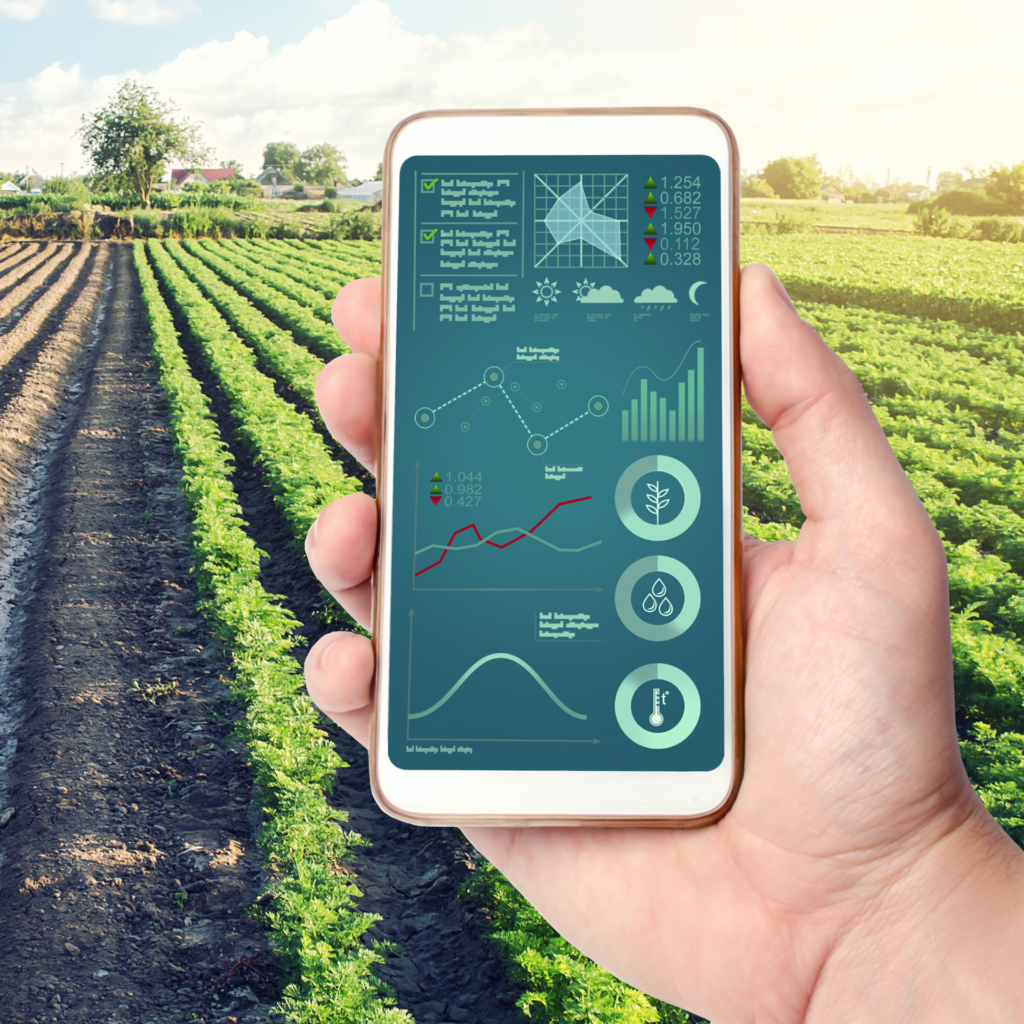 Gestão de Atividades com a Apli 2