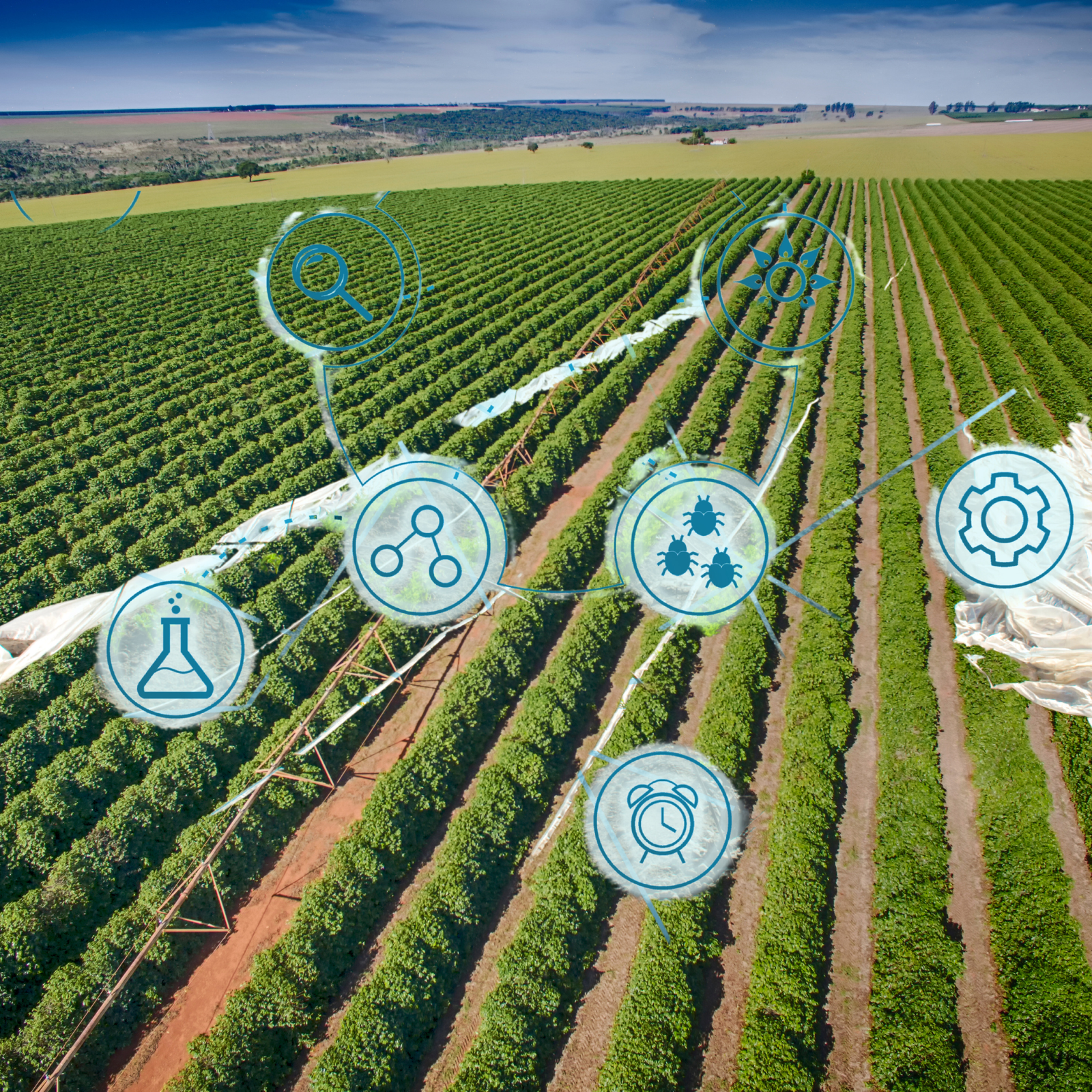 Principais Recursos e Funcionalidades