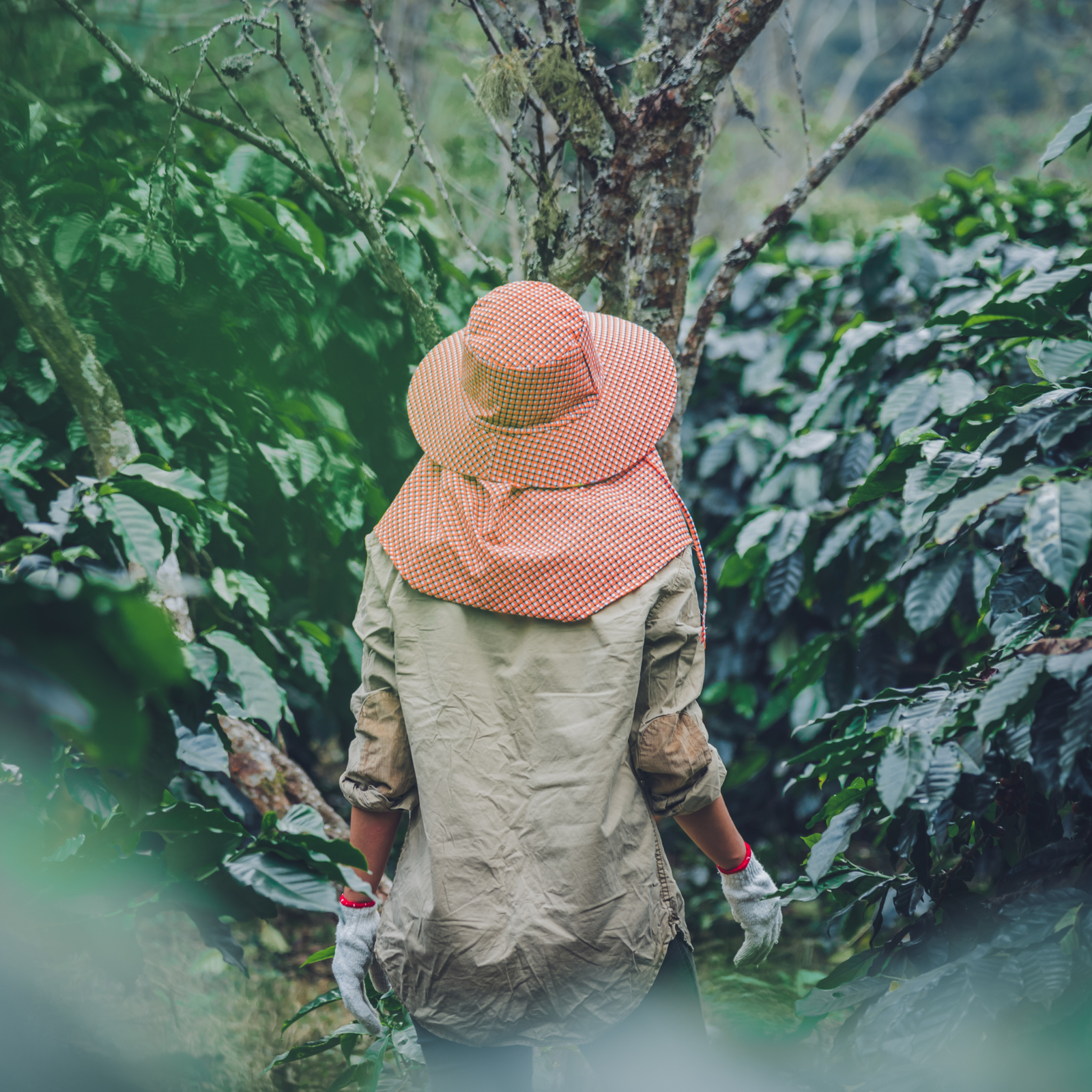 Sincronização Simples, Controle Centralizado