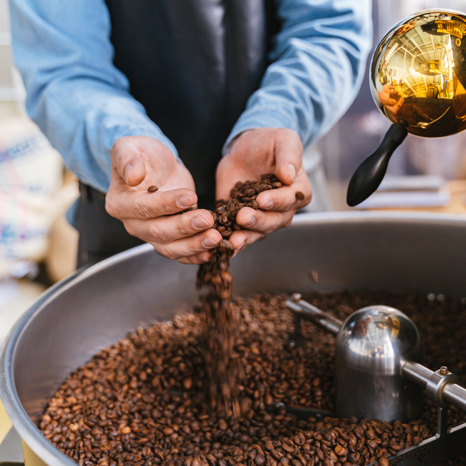 classificação do cafe