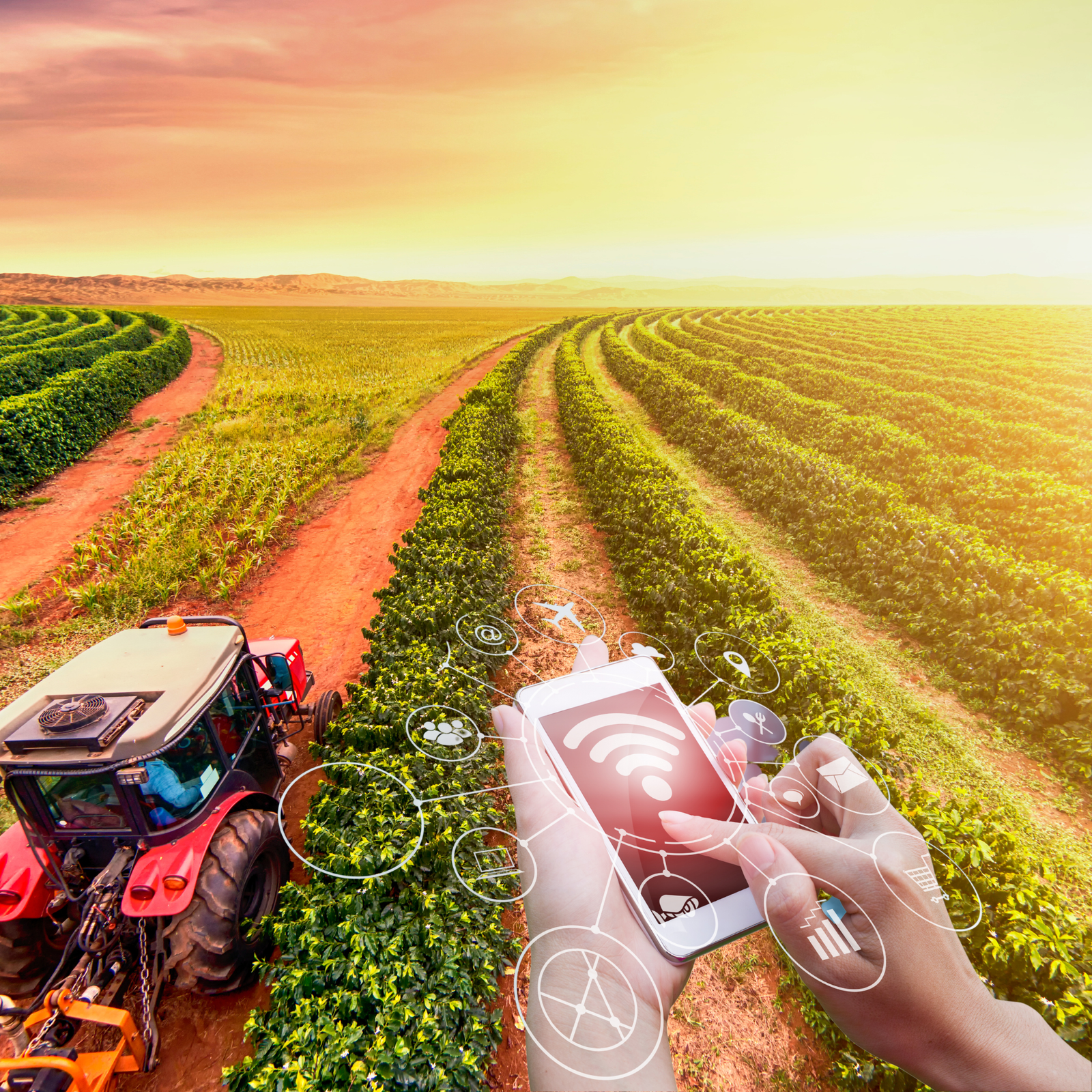 Sincronização e Acesso aos Dados​ imagens