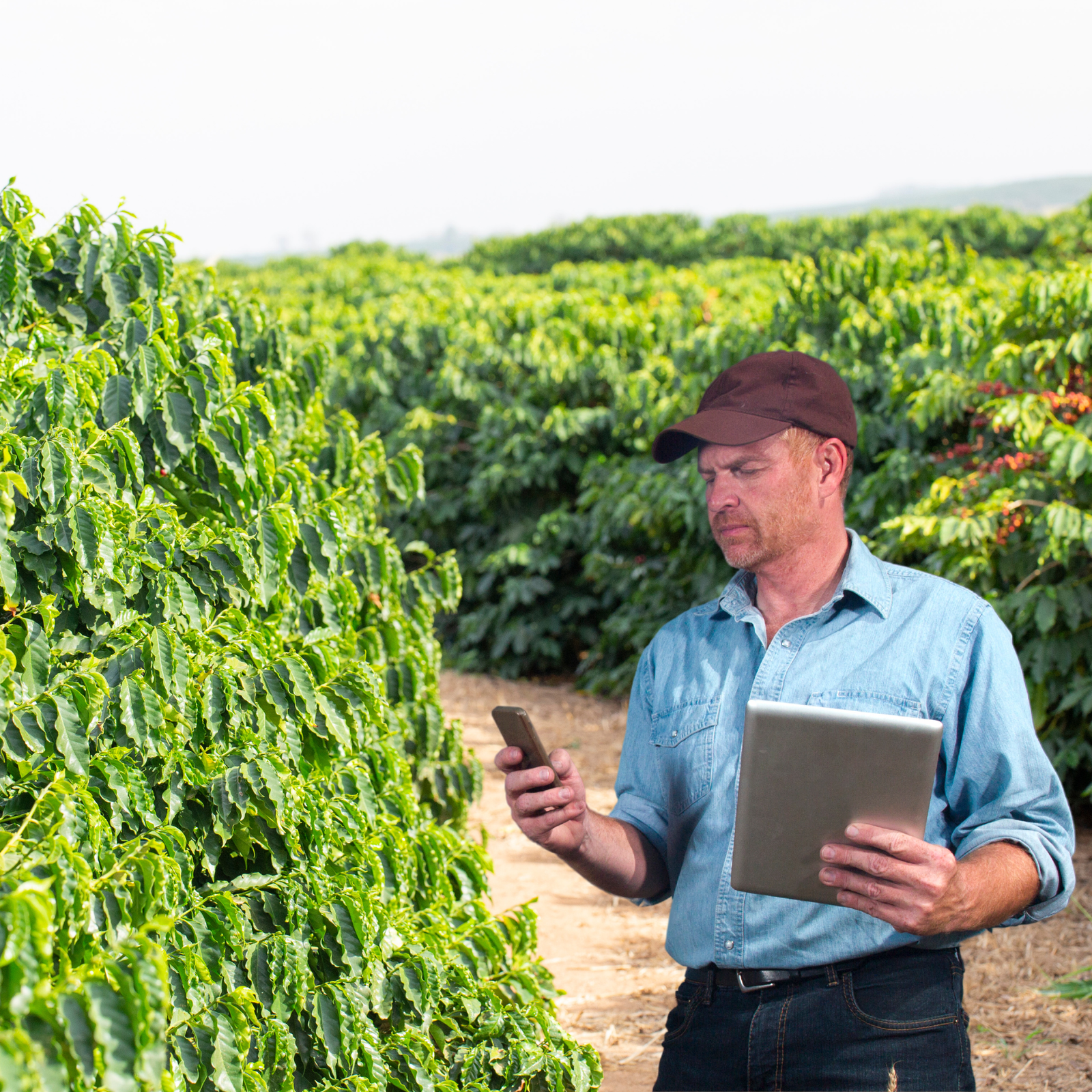 Funcionalidade Off-line e Sincronização de Dados
