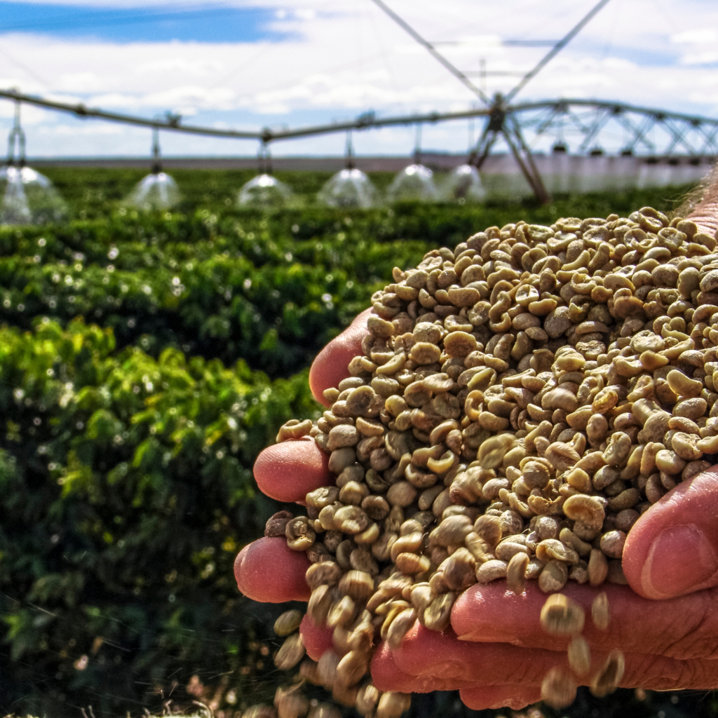 CTA apontamento imagens 1